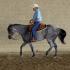 WTQHA Hot to Trot Circuit